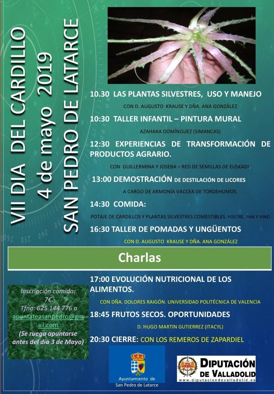 VII Día del Cardillo