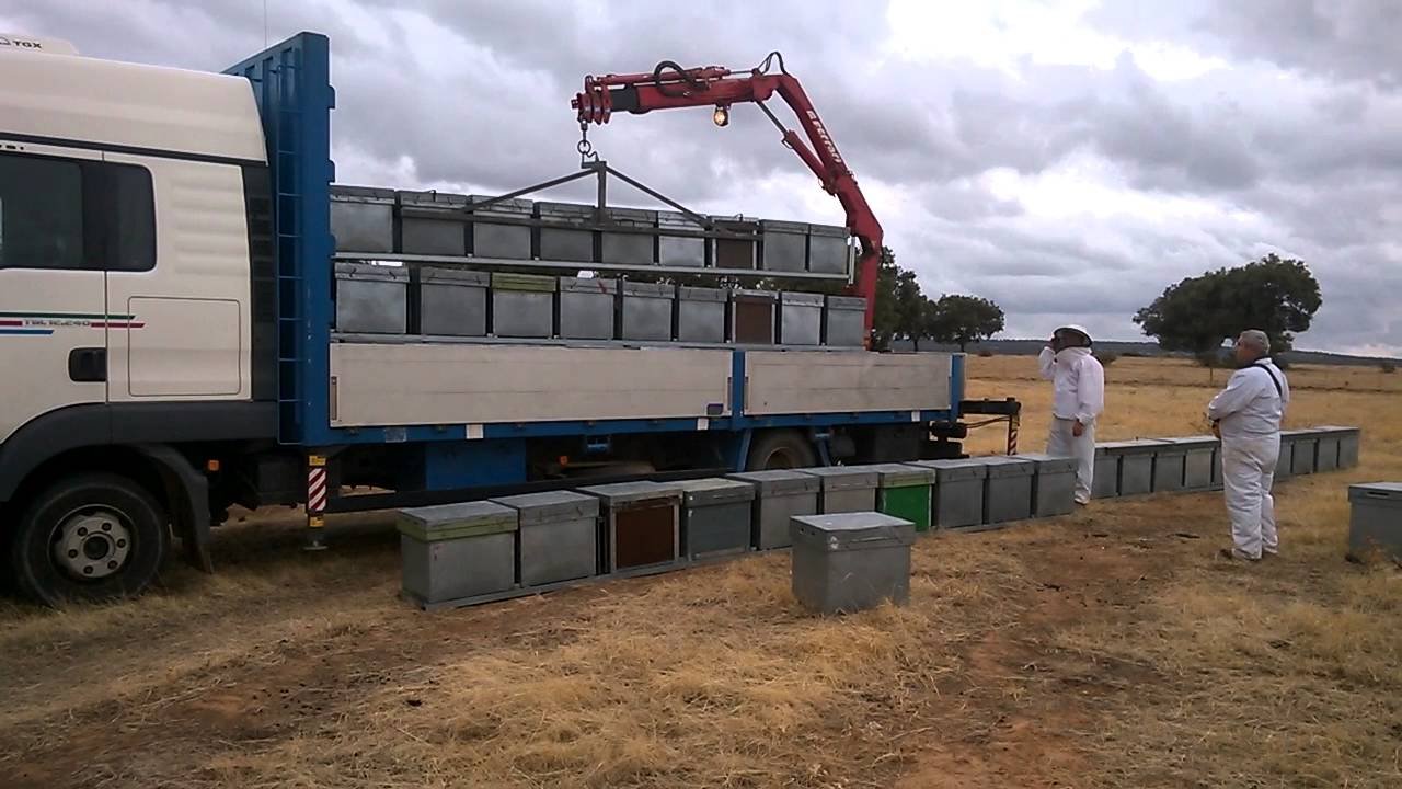 Camión descargando colmenas trashumantes