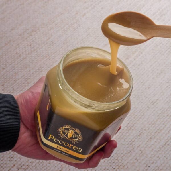 Pack Degustación con Cata Guiada