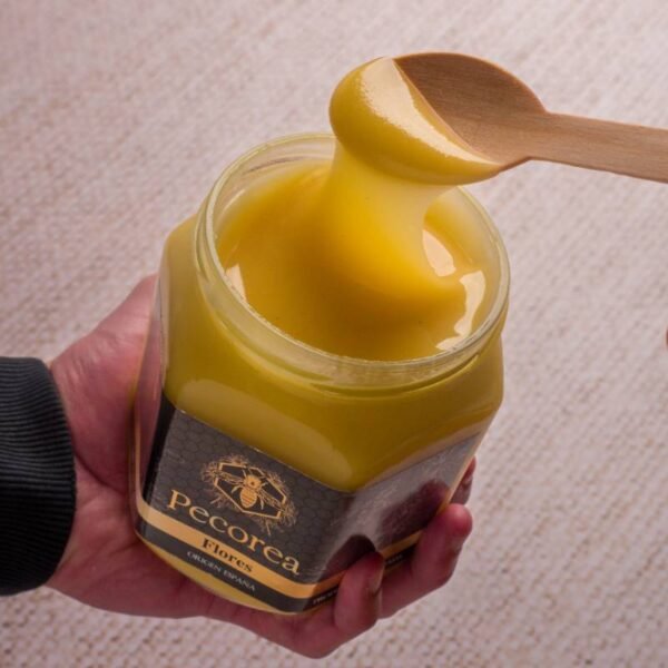 Pack Degustación con Cata Guiada