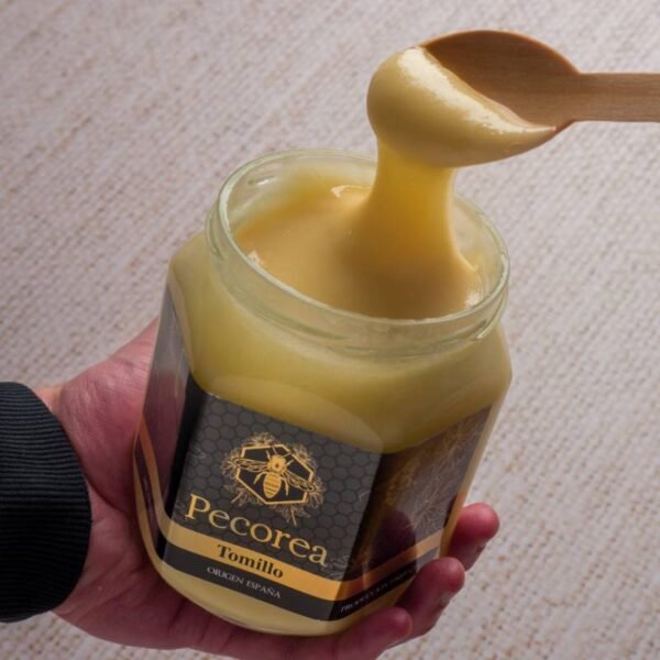 Pack Degustación con Cata Guiada