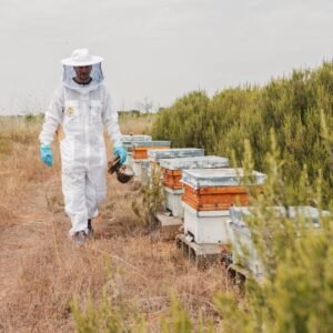 Miel de Flores Crema