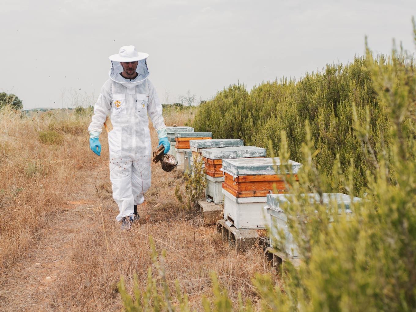 Miel de Flores Crema: imagen 1